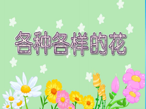 四年级下册科学课件PPT：各种各样的花-教科版