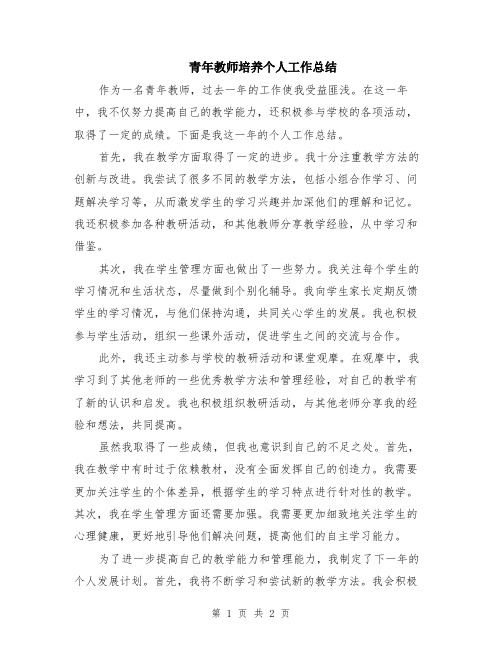 青年教师培养个人工作总结