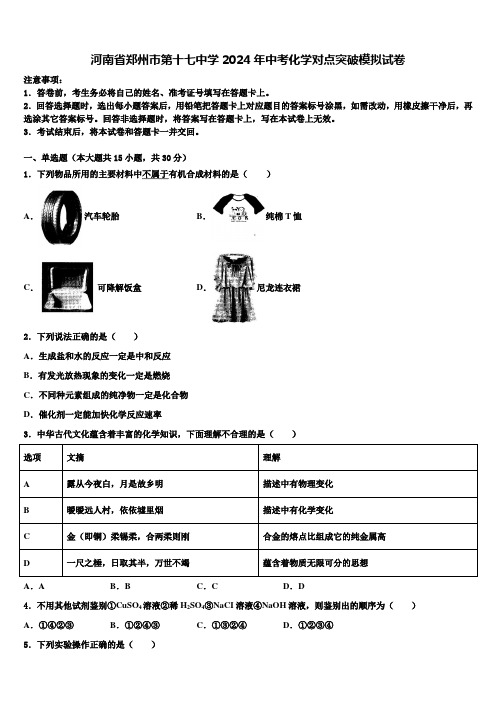 河南省郑州市第十七中学2024年中考化学对点突破模拟试卷含解析