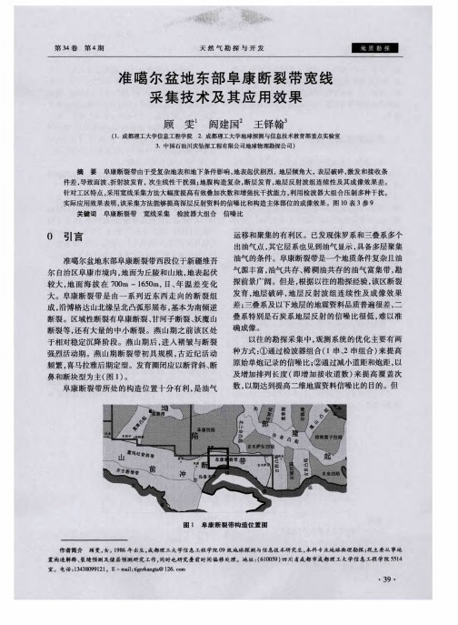 准噶尔盆地东部阜康断裂带宽线采集技术及其应用效果