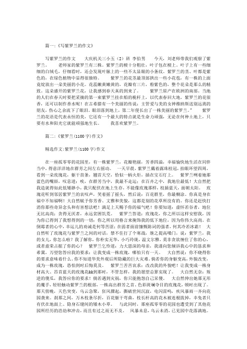 我爱紫罗兰作文