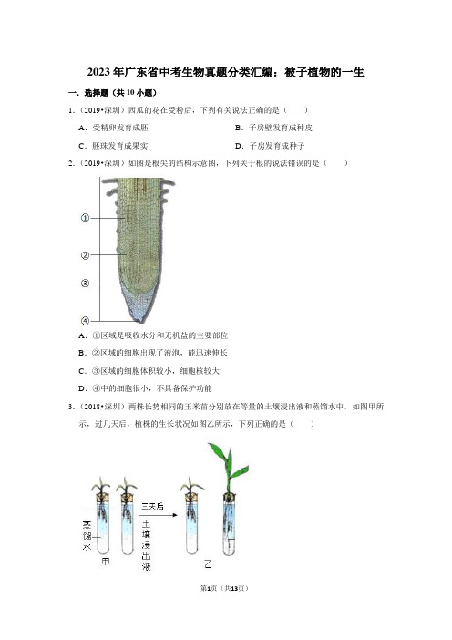 2023年广东省中考生物真题分类汇编：被子植物的一生(附答案解析)