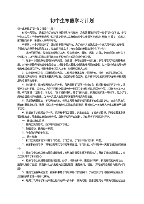 初中生寒假学习计划（精选11篇）