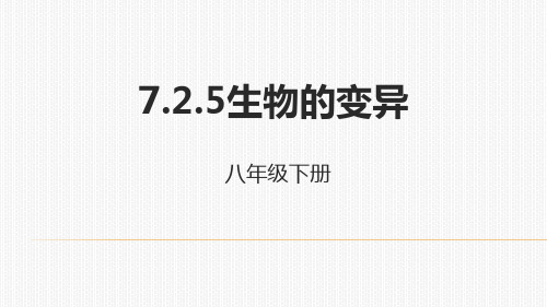 人教生物八年级下册7.2.5生物的变异课件 (共29张PPT)