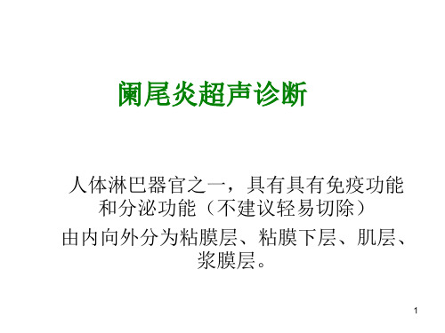 阑尾炎超声诊断推荐-文档资料