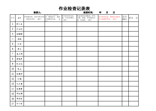 常规工作检查记录表