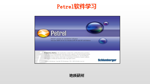 Petrel软件学习