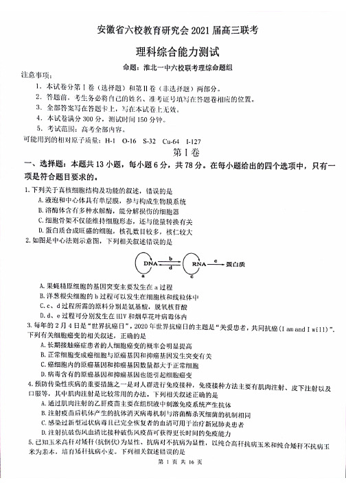 安徽省六校教育研究会2021届高三2月第二次联考理科综合试题 扫描版