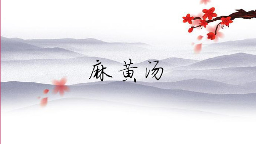 麻黄汤