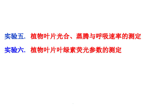 植物生理学实验-光合、呼吸速率、荧光参数测定