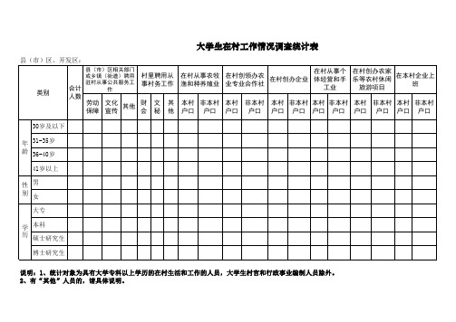 在村工作大学生情况统计新表