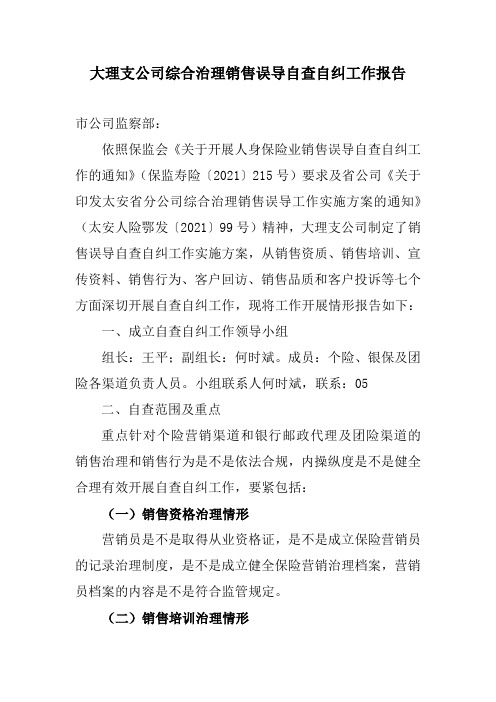 治理销售误导自查自纠报告