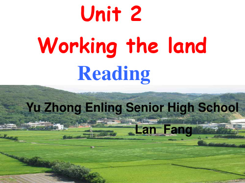 人教版必修四Unit 2(Reading：A Pioneer For All People)(共20张PPT)