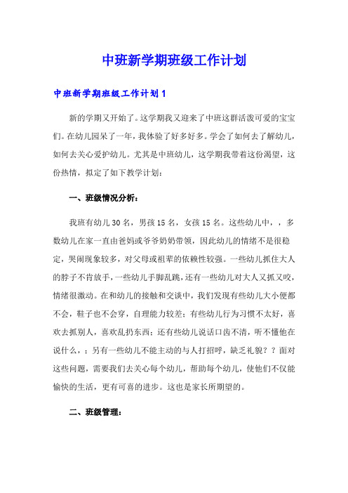 中班新学期班级工作计划