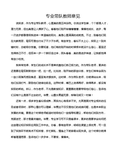 专业带队教师意见