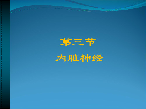 系统解剖学之内脏神经系统教学课件