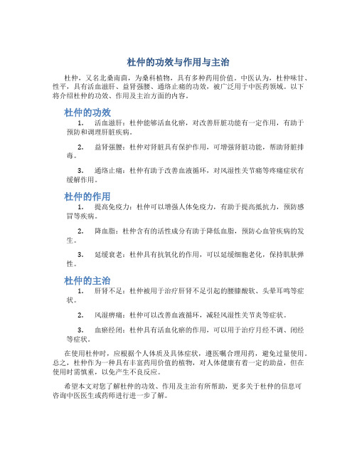 杜仲的功效与作用与主治