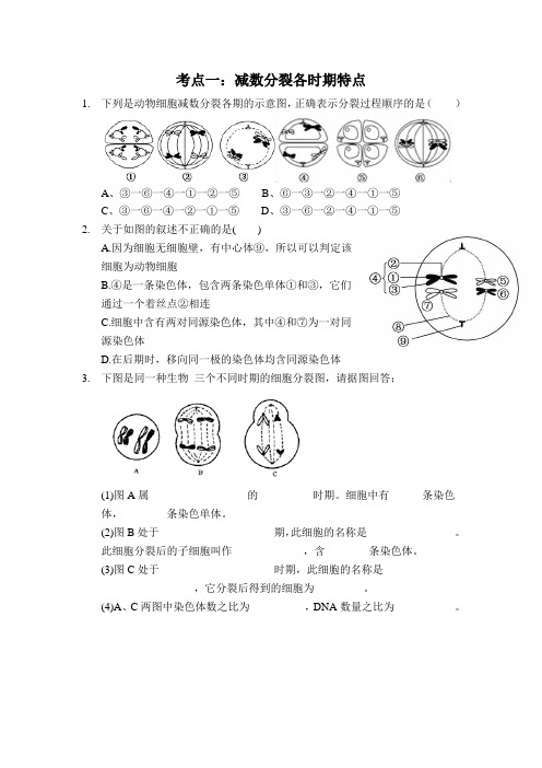 高中生物减数分裂分类题型