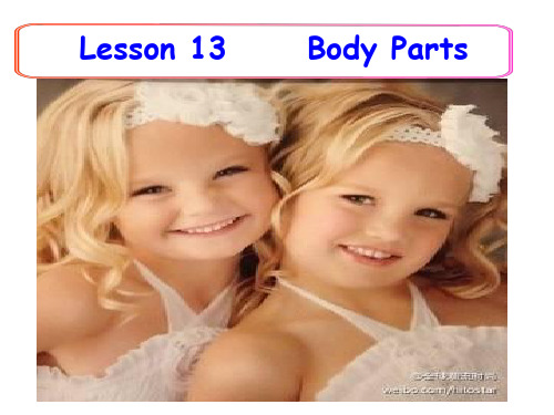 冀教版七年级英语上册 Unit 3 Lesson 13 Body Parts (共19张PPT)