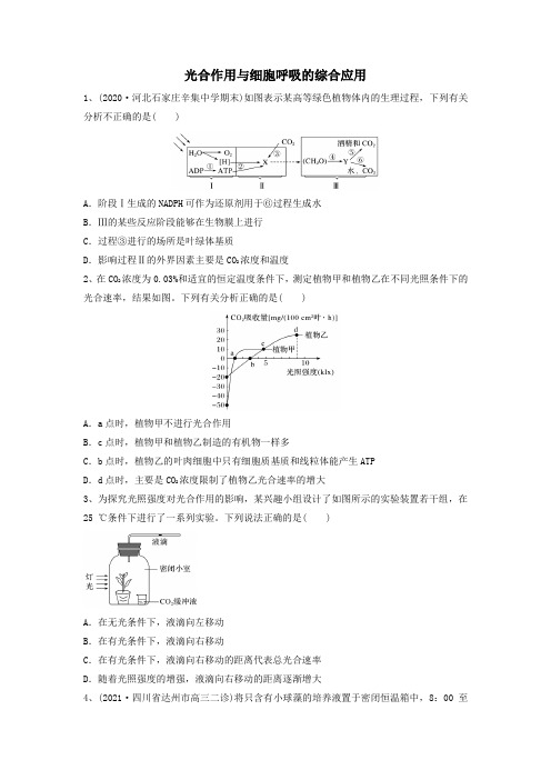 高考生物一轮复习串讲精练(新高考专用)专题10 光合作用与细胞呼吸的综合应用(精练)(原卷版+解析)