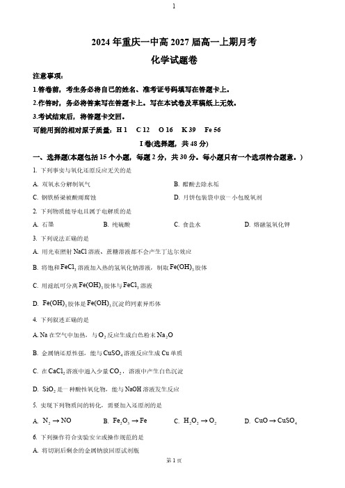 重庆市第一中学2024-2025学年高一上学期11月期中考试化学试卷(含答案)