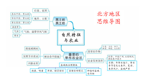 我国分区思维导图