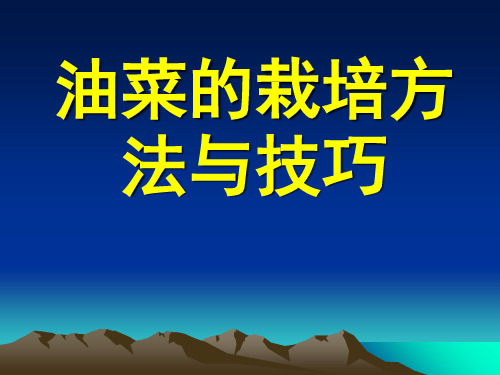 油菜的栽培方法与技巧ppt课件