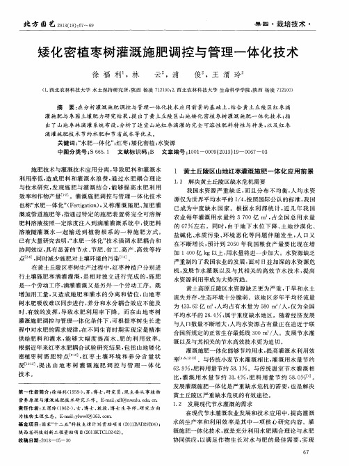 矮化密植枣树灌溉施肥调控与管理一体化技术