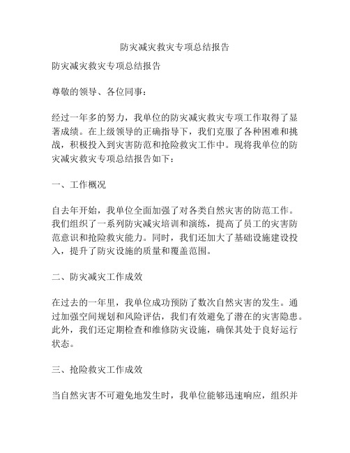 防灾减灾救灾专项总结报告