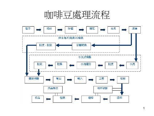 咖啡豆处理方法