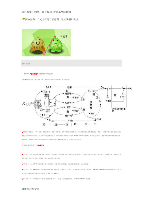 高中生物丨“光合作用”示意图