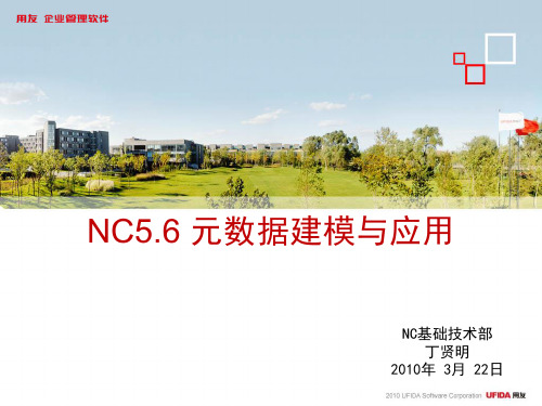 NC5.6元数据应用