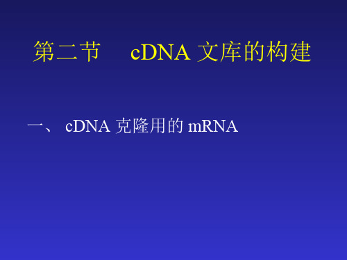 第二节 cDNA 文库的构建