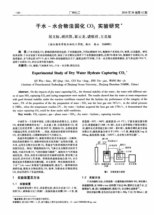 干水-水合物法固化CO2实验研究