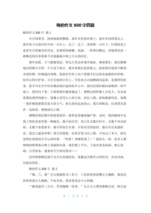 梅的作文600字四篇