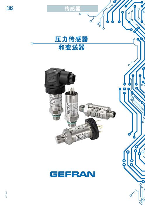 压力传感器和变送器-Gefran