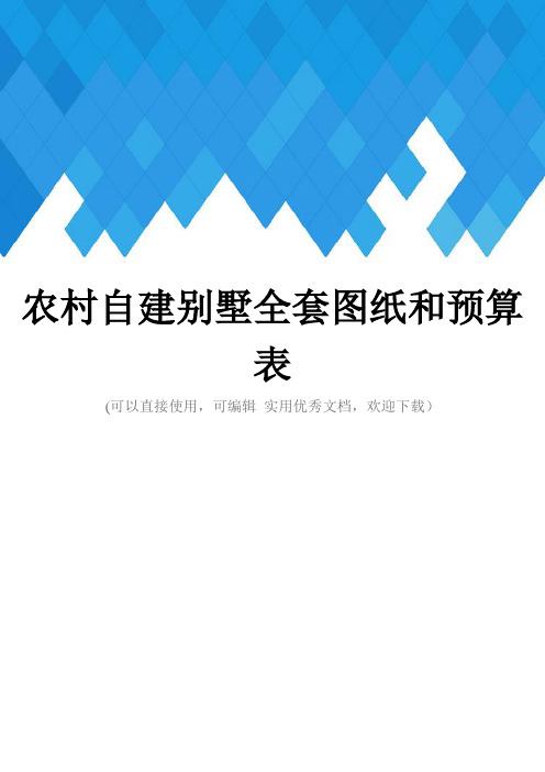 农村自建别墅全套图纸和预算表完整