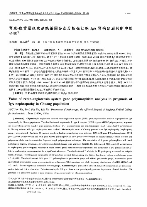 肾素-血管紧张素系统基因多态分析在壮族IgA肾病预后判断中的价值