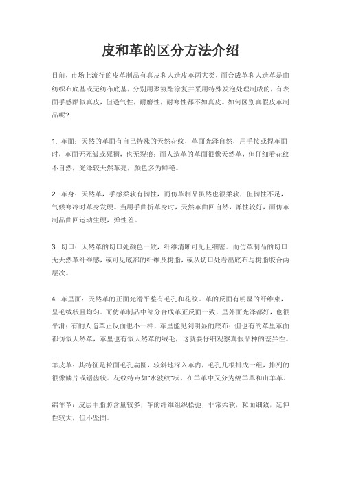 皮和革的区分方法介绍