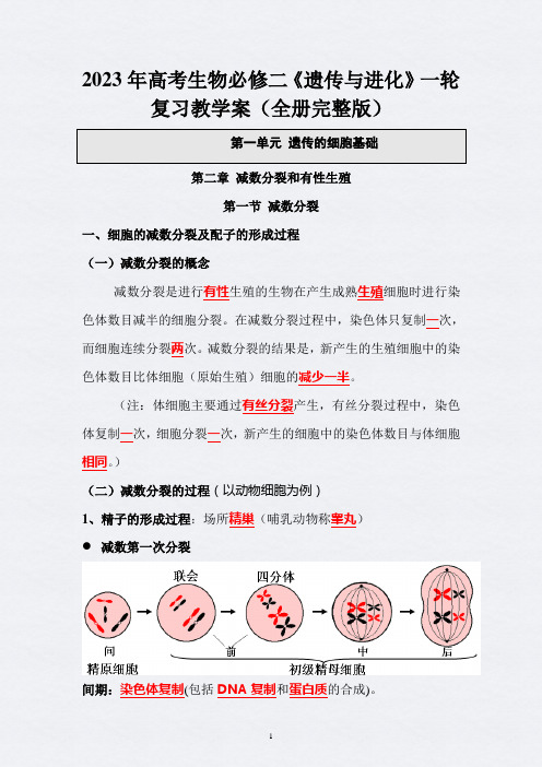 2023年高考生物必修二《遗传与进化》一轮复习教学案(全册完整版)