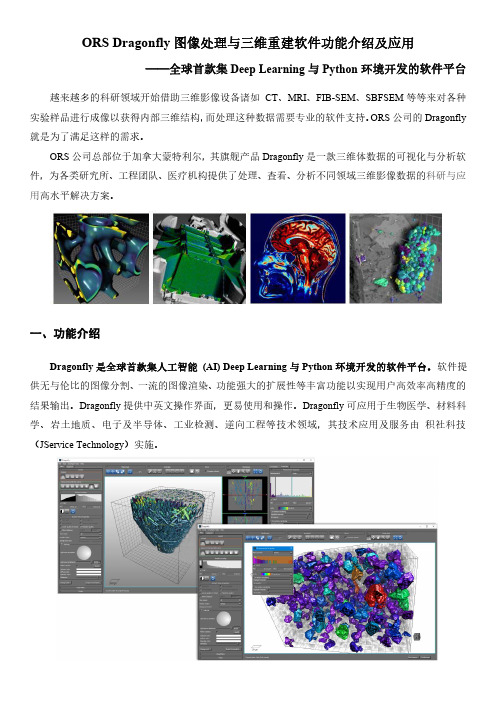 ORS Dragonfly图像处理与三维重建软件功能介绍及应用