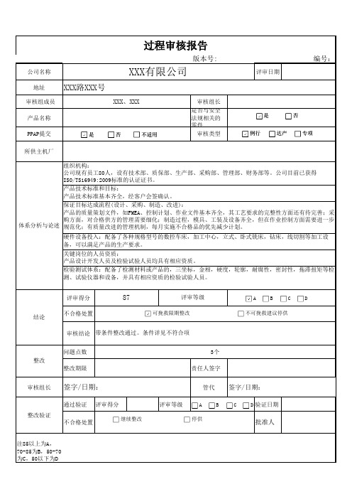 过程审核报告