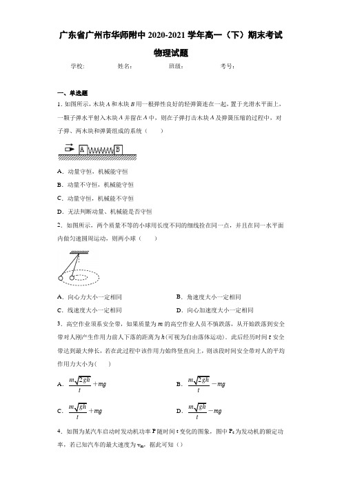 广东省广州市华师附中2020-2021学年高一(下)期末考试物理试题