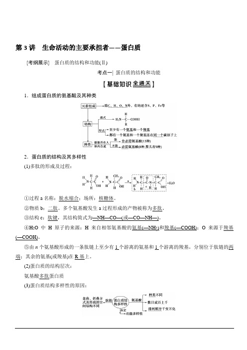 2020版新一线高考生物人教版一轮复习教学案：第1单元第3讲生命活动的主要承担者——蛋白质含答案