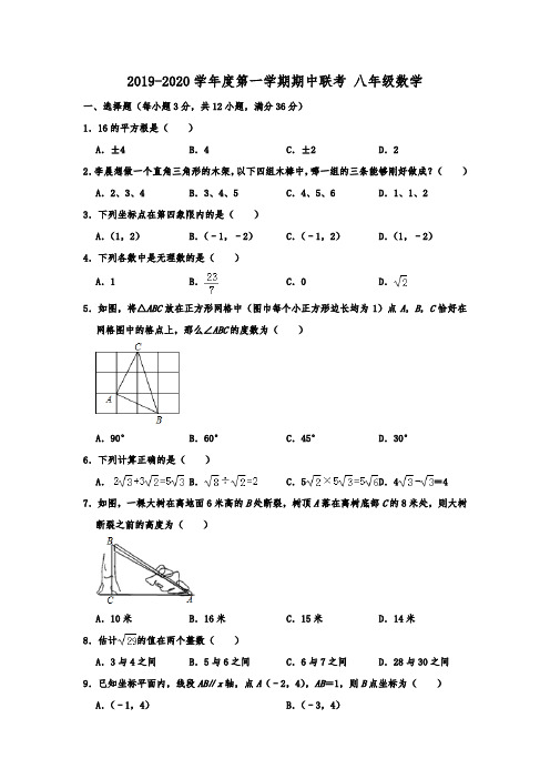 广东省深圳市龙华区2019-2020学年度第一学期期中联考 八年级数学  含解析