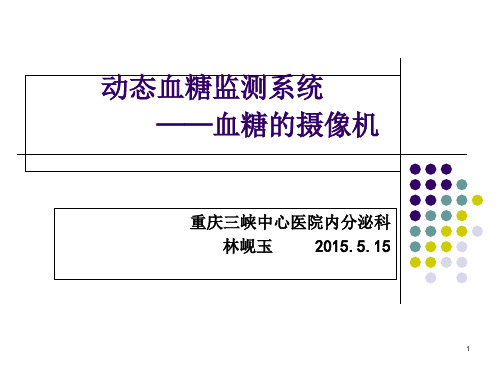 动态血糖监测(新)(课堂PPT)