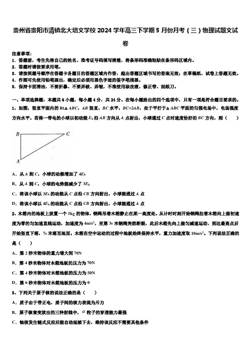 贵州省贵阳市清镇北大培文学校2024学年高三下学期5月份月考(三)物理试题文试卷