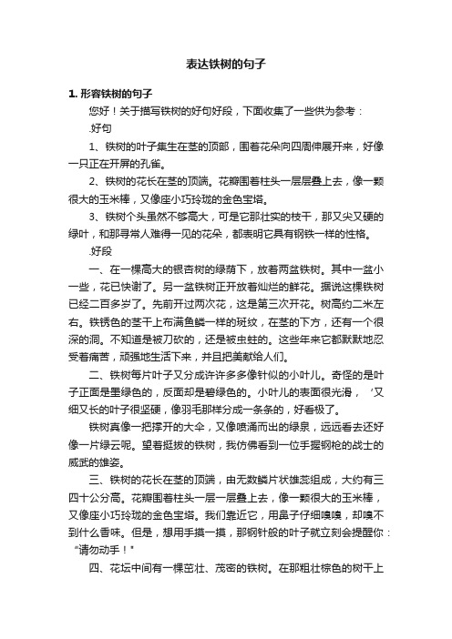 表达铁树的句子