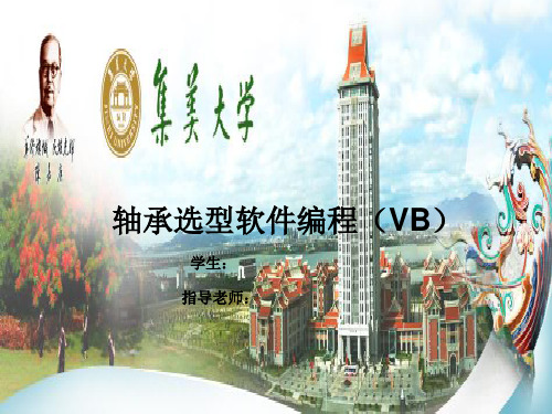 轴承选型软件编程(VB) 演示