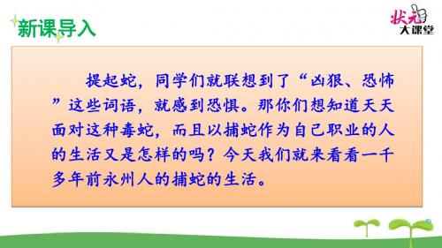 语文版语文九年级上第六单元《捕蛇者说》课件